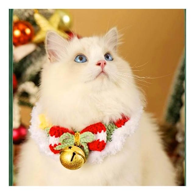 【2026】寵物領結推薦｜10款高評價人氣品牌排行榜 | 好吃美食的八里人