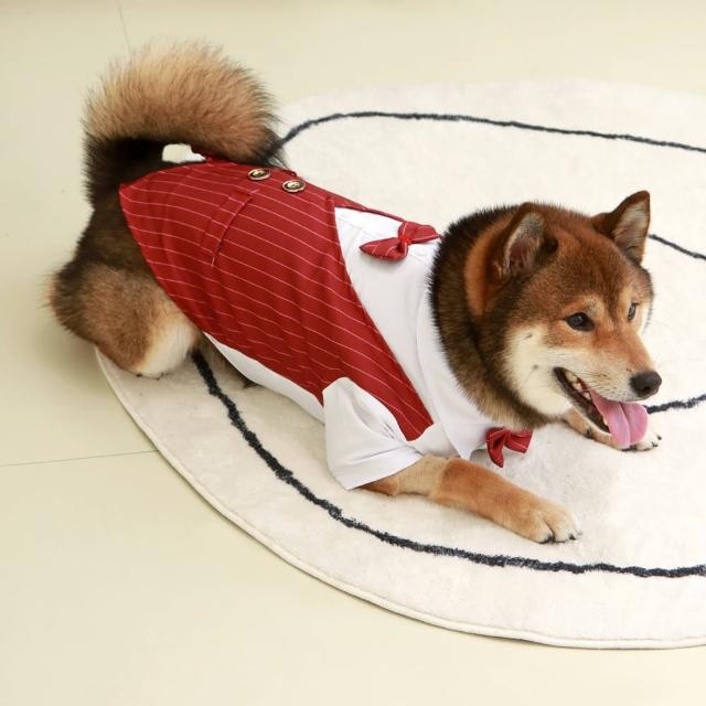 【2026】寵物領結推薦｜10款高評價人氣品牌排行榜 | 好吃美食的八里人