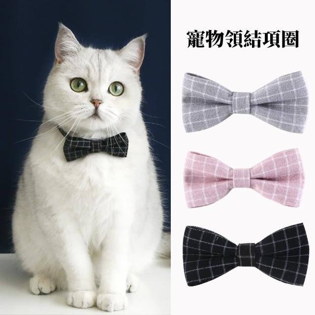 【2026】寵物領結推薦｜10款高評價人氣品牌排行榜 | 好吃美食的八里人