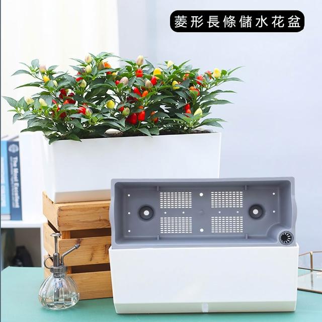 品屋】菱形長條儲水花盆(種菜盆大花盆懶人花盆塑膠盆陽台花盆自吸水免