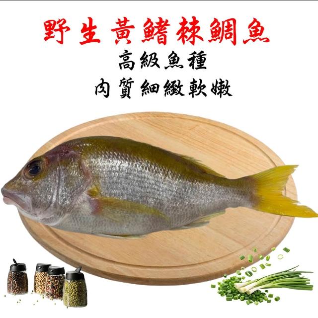 【2026】鯛魚推薦10款高評價人氣品牌排行榜 | 好吃美食的八里人