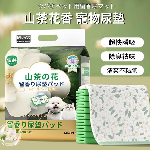 【2026】狗狗尿布推薦10款高評價人氣品牌排行榜 | BALIMAN情報局