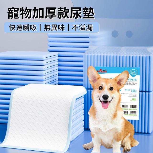 【2026】狗狗尿布推薦10款高評價人氣品牌排行榜 | BALIMAN情報局