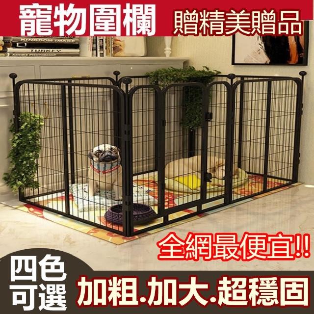 【2026】狗屋推薦10款高評價人氣品牌排行榜 | 好吃美食的八里人