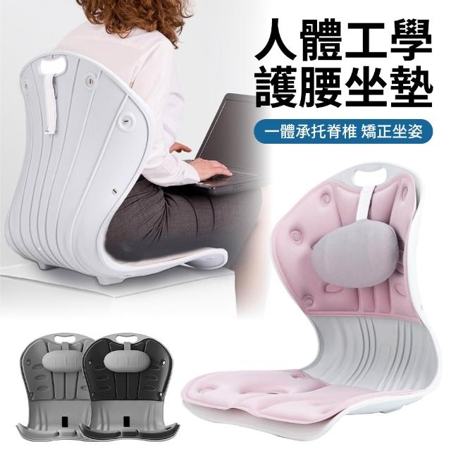 【2026】正脊坐墊推薦10款高評價人氣品牌排行榜 | BALIMAN情報局