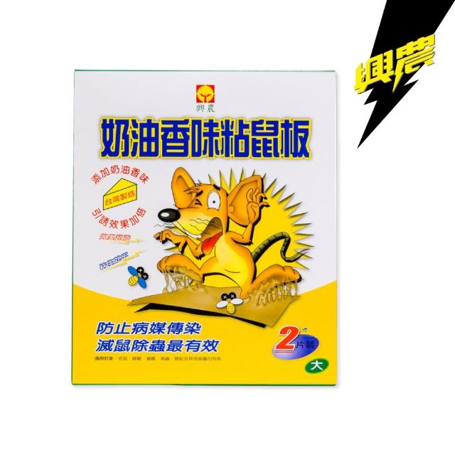 【2026】黏鼠板推薦10款高評價人氣品牌排行榜 | BALIMAN情報局