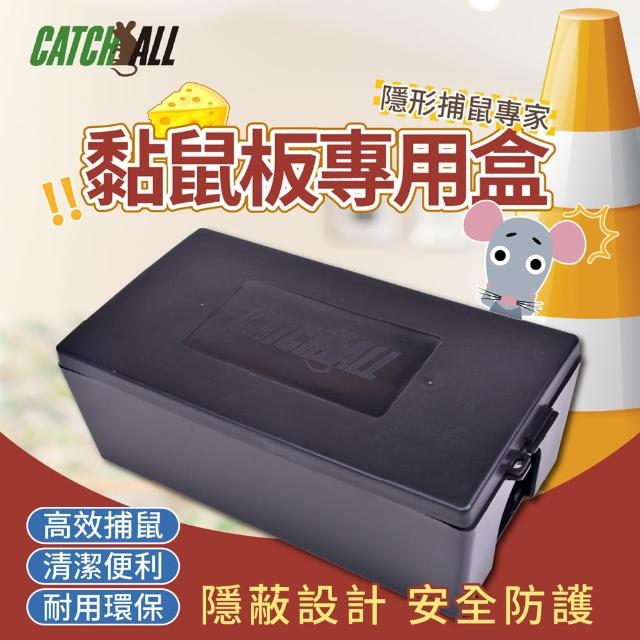 【2026】黏鼠板推薦10款高評價人氣品牌排行榜 | BALIMAN情報局