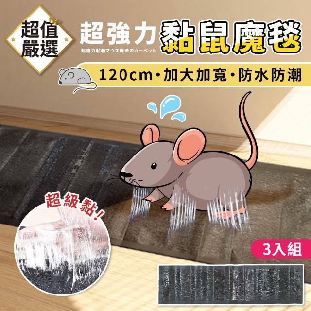 【2026】黏鼠板推薦10款高評價人氣品牌排行榜 | BALIMAN情報局