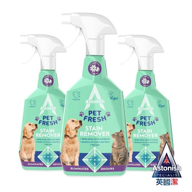 【2026必買】地毯清潔劑終極推薦清單 | BALIMAN情報局