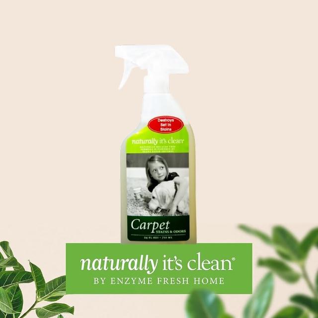 【2026必買】地毯清潔劑終極推薦清單 | BALIMAN情報局