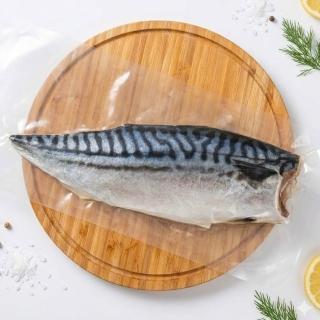 【2026】挪威鯖魚推薦10款高評價挪威鯖魚品牌排行 | BALIMAN情報局