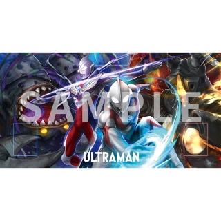 【2026】遊戲地墊推薦ptt》10款高評價人氣品牌排行榜 | BALIMAN情報局