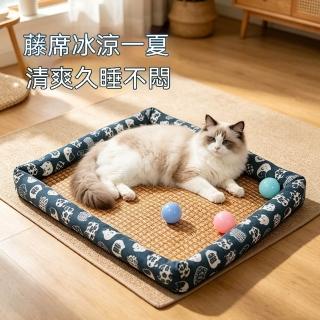 【2026】寵物透氣墊推薦｜10款高評價人氣品牌排行榜 | BALIMAN情報局