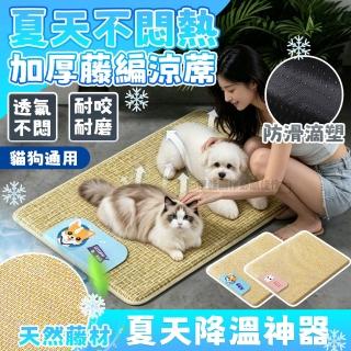 【2026】寵物透氣墊推薦｜10款高評價人氣品牌排行榜 | BALIMAN情報局