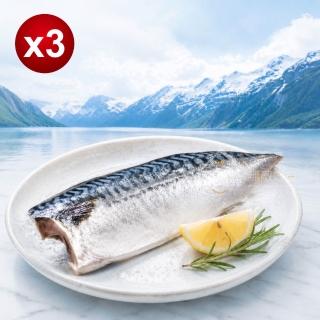 【2026】挪威鯖魚推薦10款高評價挪威鯖魚品牌排行 | BALIMAN情報局