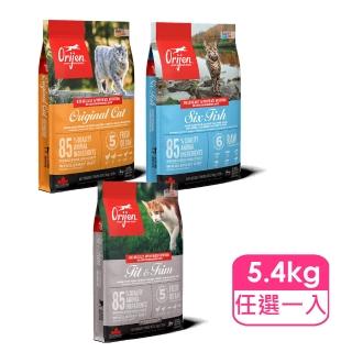 【2026】無穀貓飼料推薦10款高評價無穀貓飼料品牌排行 | BALIMAN情報局