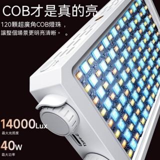 【2026】攝影燈推薦｜10款高評價人氣品牌排行榜 | BALIMAN情報局