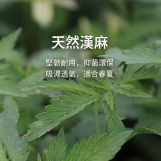 | BALIMAN情報局 【2026】涼感牛仔褲推薦ptt》10款高評價人氣品牌排行榜 | BALIMAN情報局